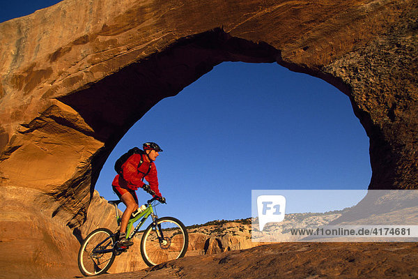 Mountain biker  Moab  Utah  USA