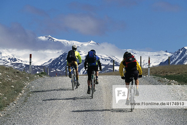 Mountain biker  Southern Alps  South Island  New Zealand