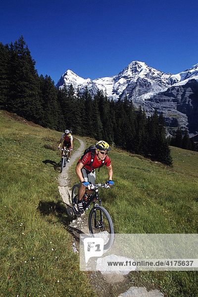 Mountain bikers  Jungfrau  Little Scheidegg  Grindelwald  Bernese Oberland  Switzerland