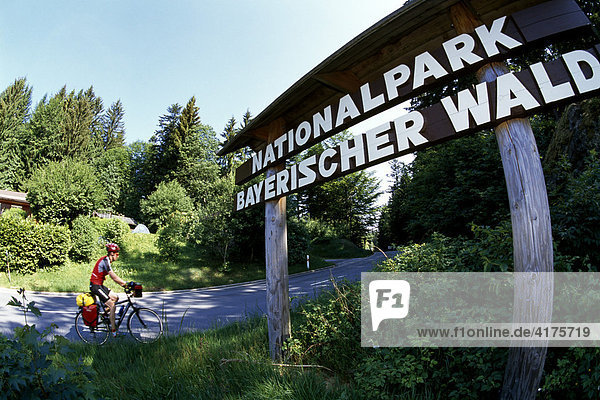 Radfahrer  Nationalpark Bayerischer Wald  Bayern  Deutschland