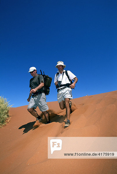 Männer laufen Sanddüne runter  Tok Tokkie Trail  Namib Rand Nature Reserve  Namibia  Afrika