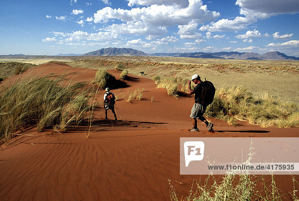 Hikers on dunes  Tok Tokkie Trail  NamibRand Nature Reserve  Namibia  Africa