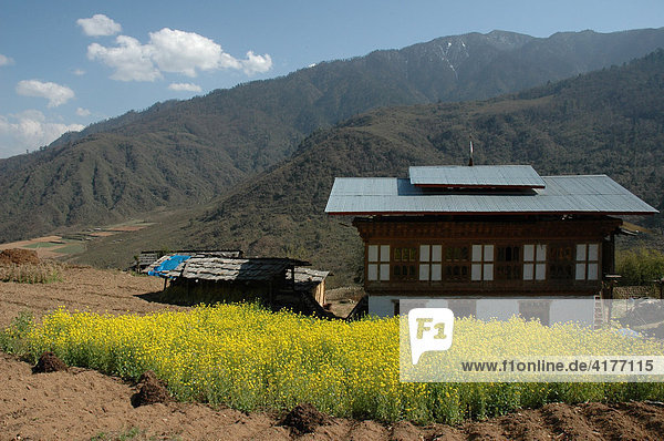 Bhutan  Königreich  Himalaya  Bauernhaus