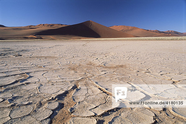 Dried  cracked earth in front of a star dune  Sossusvlei  Namibia  Africa