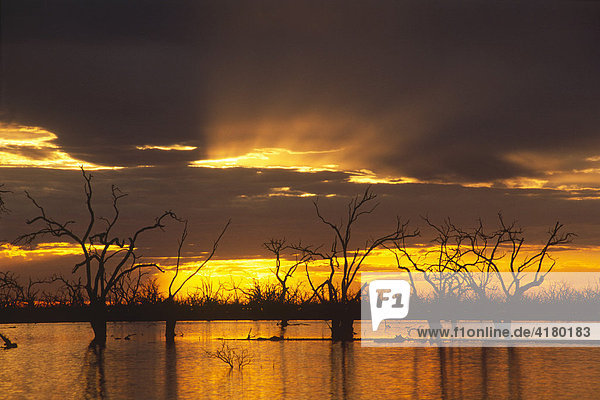 Sonnenuntergang am Lake Pamamaroo  Kinchega Nationalpark  New South Wales  Australien