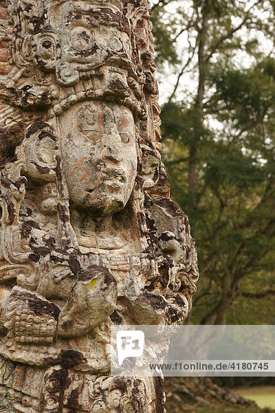 Stela  Maya-König  Copan Ruinas  Copan  Honduras