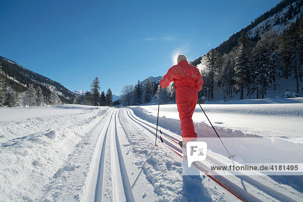 Cross-country skier in Hinterriss  Tyrol  Austria  Europe