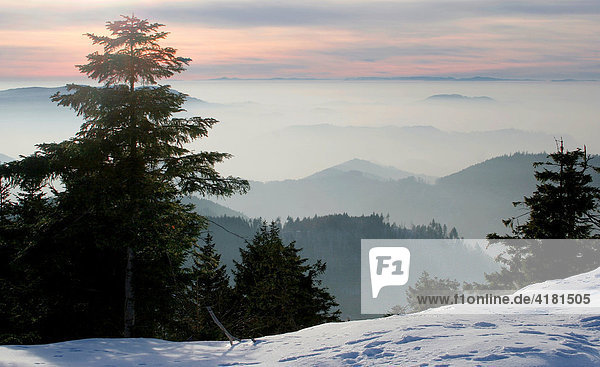 At the Black Forest road Hochstrasse