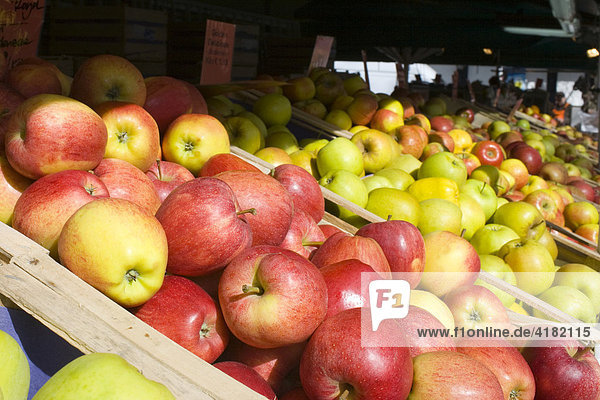 Apples sold at a fruit stall  Viktualienmarkt Market  Munich  Bavaria  Germany