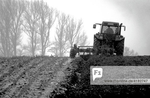 Agriculture  spring field cultivation in fog