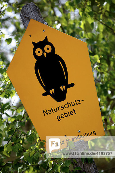Conservation owl
