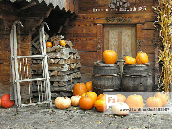 Autumnal decorations in the Switzerland area  Europapark Rust  Baden-Wuerttemberg  Germany