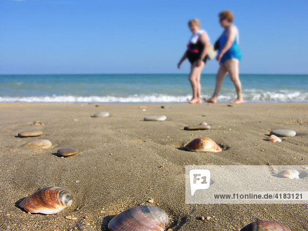 Zwei Frauen spazieren am Strand mit Muschelschalen und Steinen