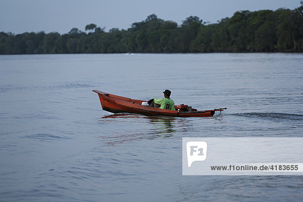Boot auf Fluß Sungai Sekonyer im Tanjung Puting National Park  Zentral-Kalimantan  Borneo  Indonesien