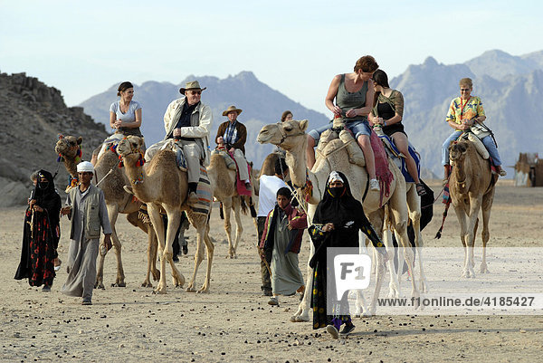 Wüste nahe Hurghada am Roten Meer. Frauen in einem Beduinendorf bieten Ritte auf einem Dromedar an  Hurghada  Ägypten