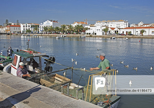 Fischerboote am Gilao  Tavira  Algarve  Portugal