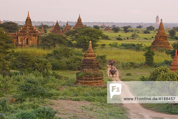 Myanmar Pagodenfeld von Bagan  Bagan  Myanmar  Südostasien