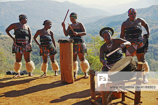 Drumming dark skinned women in a presentation village  Province KwaZulu-Natal  South Africa