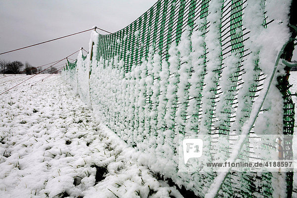 Snow covered fence