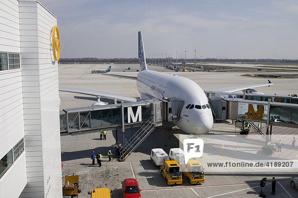Airbus A380 erstmals auf dem Münchner Flughafen. München  Bayern  Deutschland