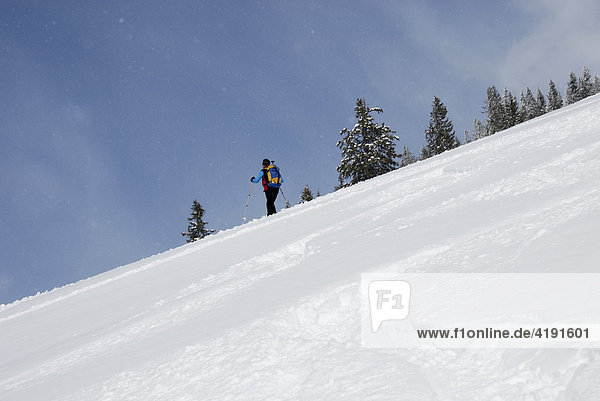 Schitourengeher quert einen Berghang im Pulverschnee bei leichtem Schneefall  Chiemgau  Bayern  Deutschland  Europa
