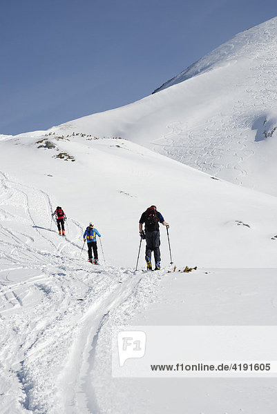 Mountaineers on skis climbing a snow-covered peak of the high alpine region in Rofan  Tyrol  Austria  Europe