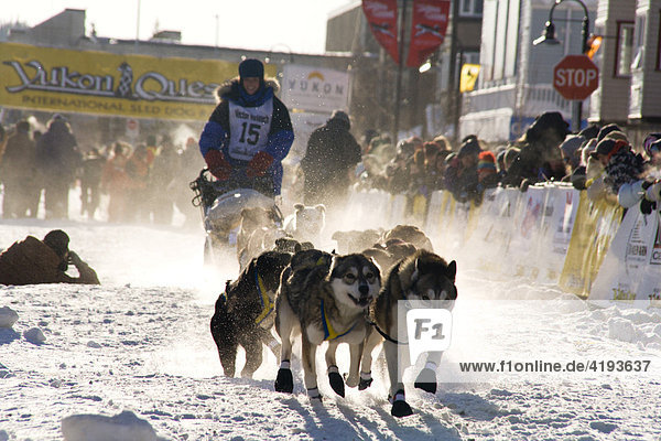 Hundeschlittenführer starten mit ihren Gespannen beim Yukon Quest Hundeschlittenrennen in Whitehorse  Yukon Territorium  Kanada
