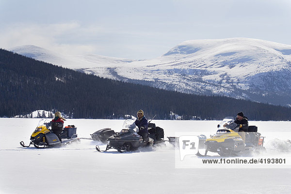 Hunters driving snowmobiles or skidoos  Yukon Territory  Canada  North America