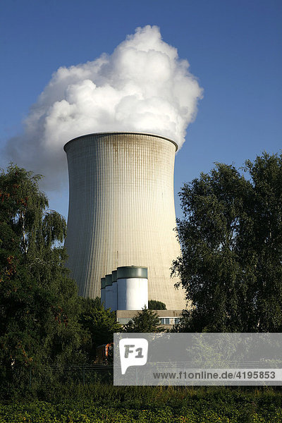 Kühlturm Kohlekraftwerk Weisweiler  Nordrhein-Westfalen  Deutschland