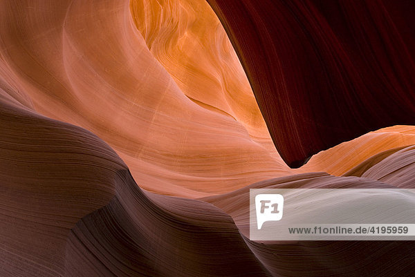 Lower Antelope Canyon  Page  Arizona  USA