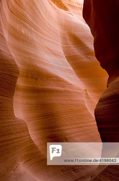 Lower Antelope Canyon  Page Arizona  USA