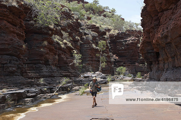 Mann wandert in Kalamina Gorge Karijini National Park Pilbara Region Westaustralien WA