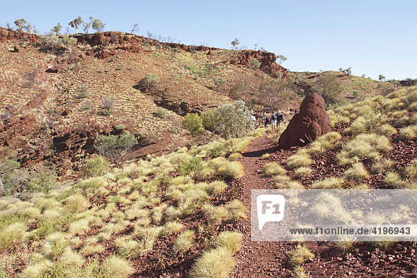 Hiking trail to Hamersley Gorge Pilbara region western australia WA