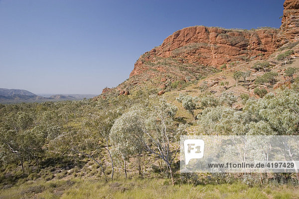 Osmono Lookout  Bungle Bungle  Purnululu National Park  Unesco Weltkulturerbe  Kimberley  Westaustralien  Australien