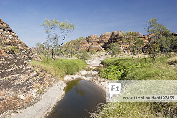 Wasserstelle  Cathedral Gorge Wandereweg  Bungle Bungle  Purnululu National Park  Unesco Weltkulturerbe  Kimberley  Westaustralien  Australien