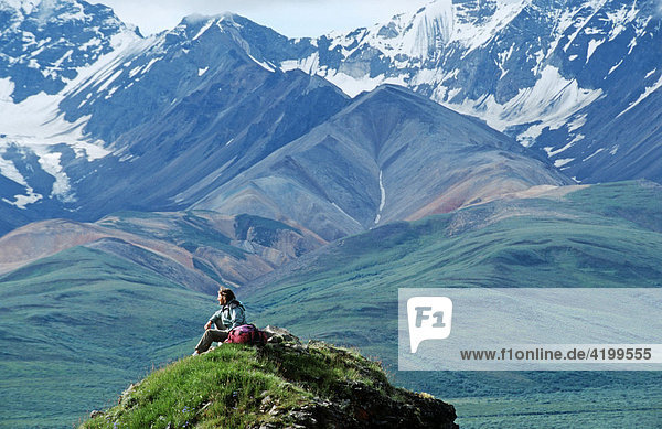 Hiker standing in front of the Alaska Range in Denali National Park  Alaska  USA