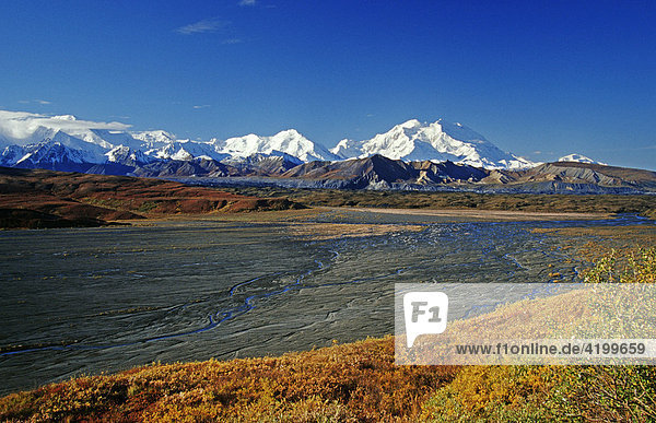 Flussbett und Herbsttundra vor Mt. McKinley  Denali N.P.  Alaska  USA