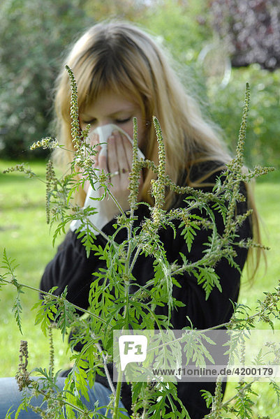Frau reagiert allergisch auf das Beifußblättrige Traubenkraut Ambrosia artemisiifolia