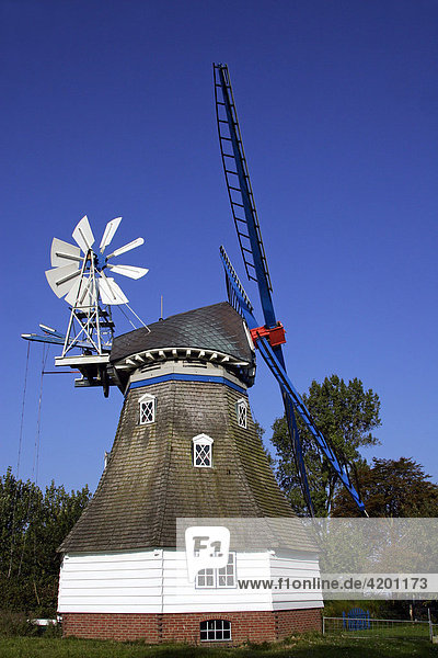 Historic Immanuel Windmill  typical Dutch style  near Marne  Schleswig-Holstein  Germany