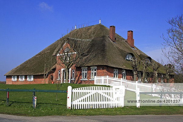 Haubarg Kutzenswarft  historic cottage with thatched roof in Westerhever  Eiderstedt Peninsula  North Frisia  North Sea coast  Schleswig-Holstein  Germany  Europe