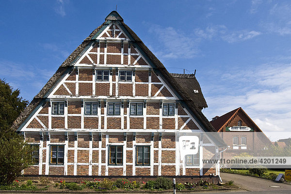 Historisches reetgedecktes Fachwerkhaus im Alten Land  Altländer Obstbauernhof  Jork  Obstanbaugebiet Altes Land  Niedersachsen  Deutschland  Europa