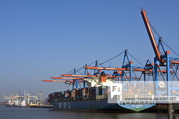 Containerschiffe am Containerterminal Burchardkai im Hamburger Hafen  Hamburg  Deutschland  Europa