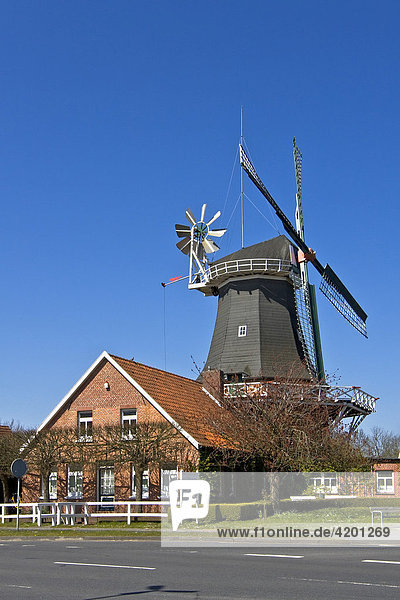 Historische Windmühle  zweistöckiger Galerieholländer mit Windrose  Peldemühle  Esens  Ostfriesland  Niedersachsen  Deutschland  Europa