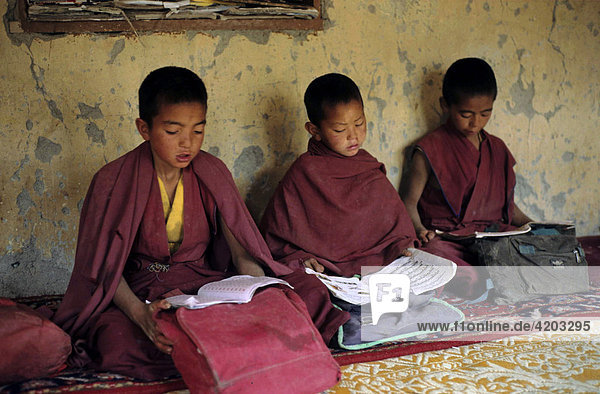 Buddhist novices doing homework  Basgo Monastery  Ladakh  India