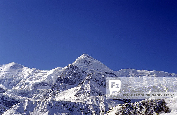 Tilicho Peak (7134 m)  Annapurna Gebiet  Himalaya  Nepal  Asien
