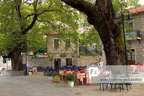 Kosmas restaurants under old plane tree  Peloponnese  Greece