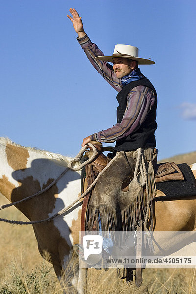 Cowboy sitting on horseback greeting  wildwest  Oregon  USA