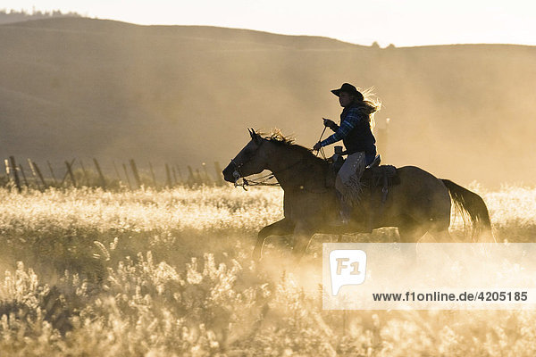 Cowgirl riding  Oregon  USA