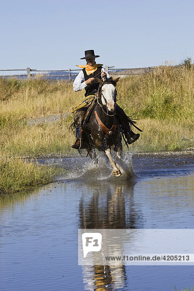 Cowboy reitet durch Bach  Oregon  USA