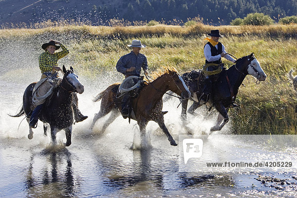 Cowboys riding in water  wildwest  Oregon  USA